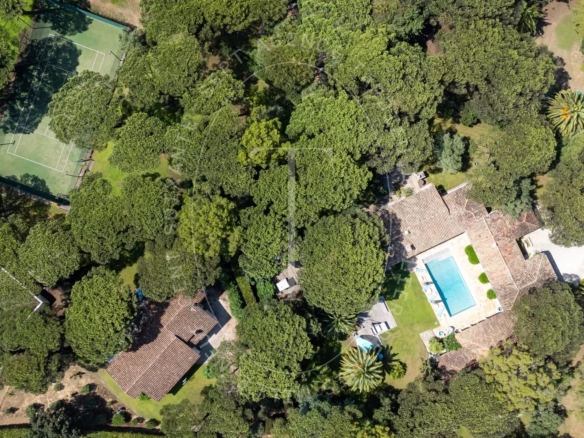 Domaine de pins, proche plages Pampelonne