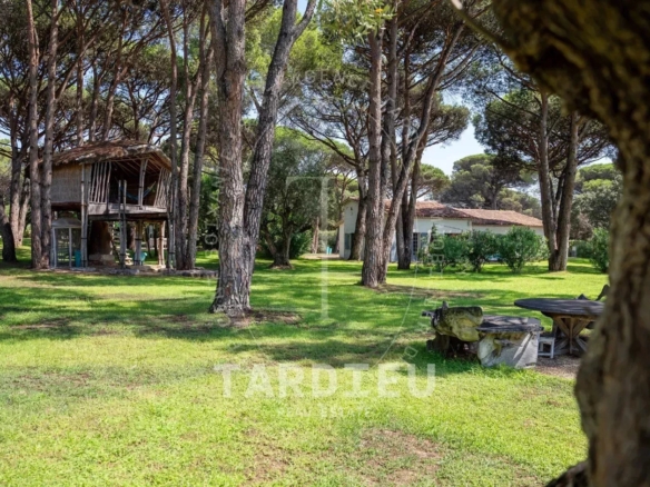 Domaine de pins, proche plages Pampelonne