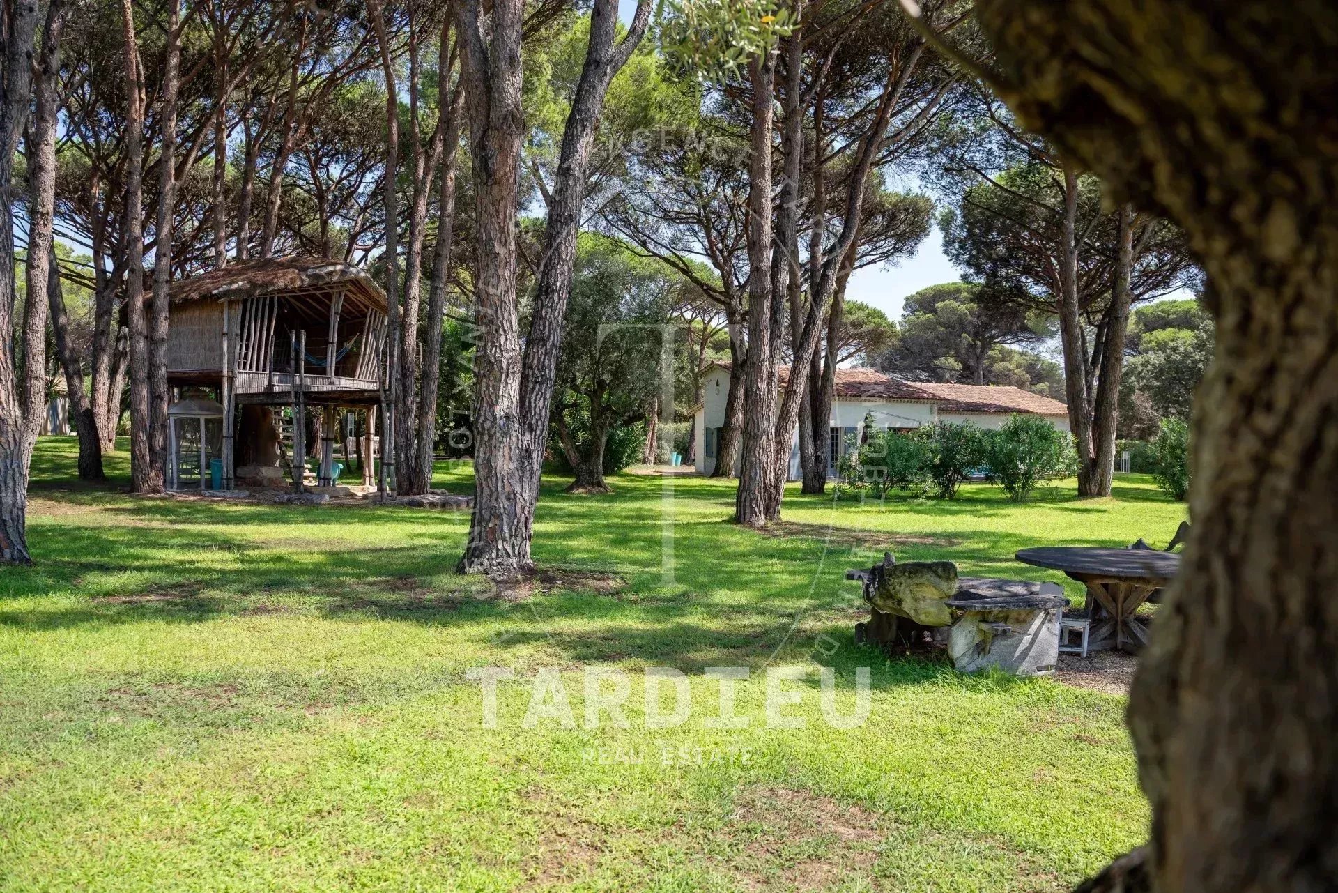 Domaine de pins, proche plages Pampelonne