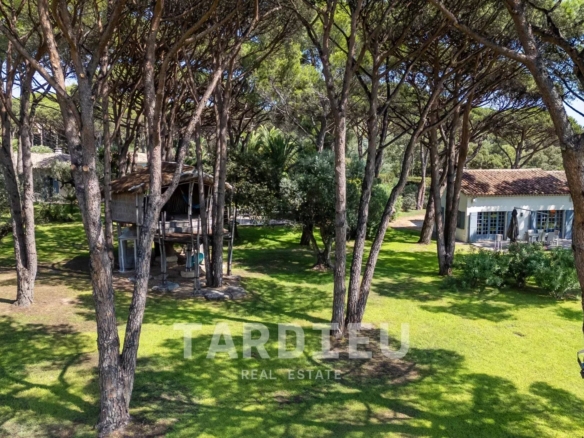 Domaine de pins, proche plages Pampelonne