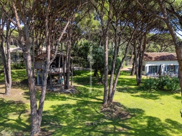 Domaine de pins, proche plages Pampelonne