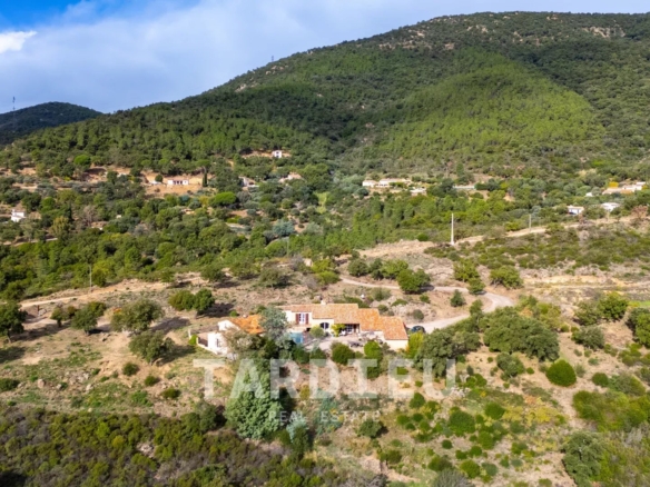 Maison provençale avec vue mer