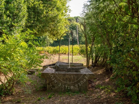 Saint-Tropez : Propriété de caractère unique