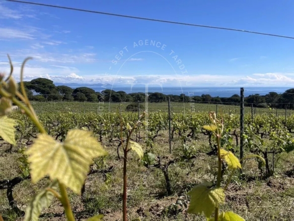 BASTIDE VITICOLE - GASSIN