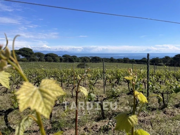 BASTIDE VITICOLE - GASSIN