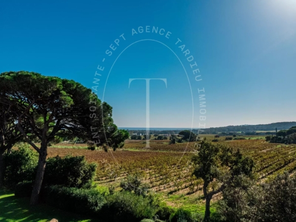 Villa avec vue dégagée sur les vignes et la mer