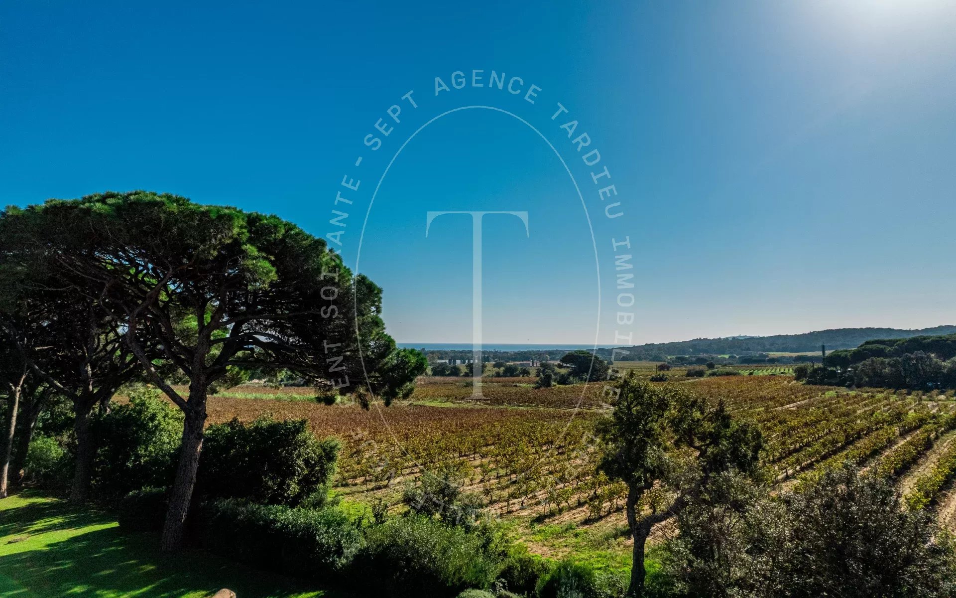 Villa avec vue dégagée sur les vignes et la mer