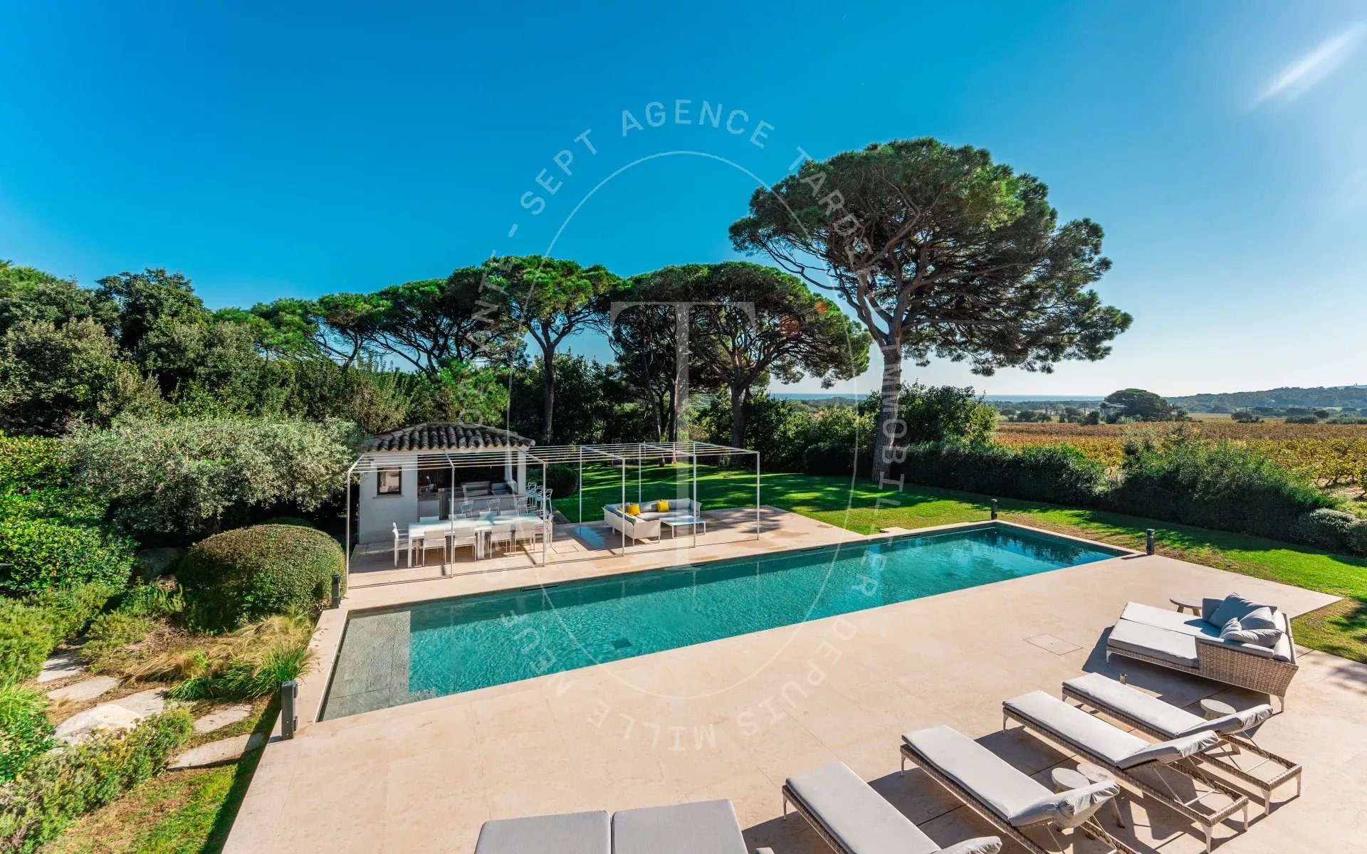 Villa avec vue dégagée sur les vignes et la mer