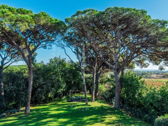 Villa avec vue dégagée sur les vignes et la mer