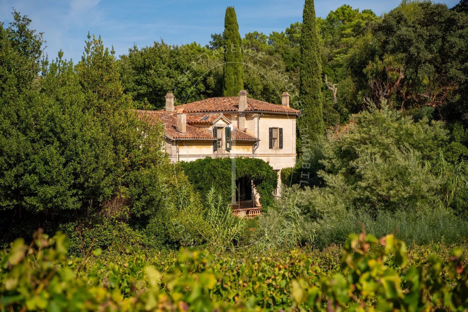 Saint-Tropez : Bâtisses de caractère au cœur