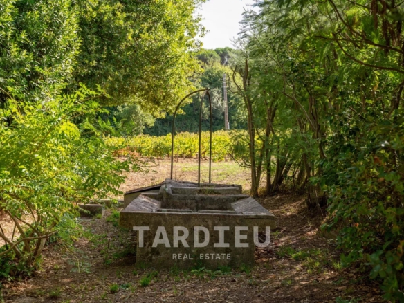 Saint-Tropez : Bâtisses de caractère au cœur