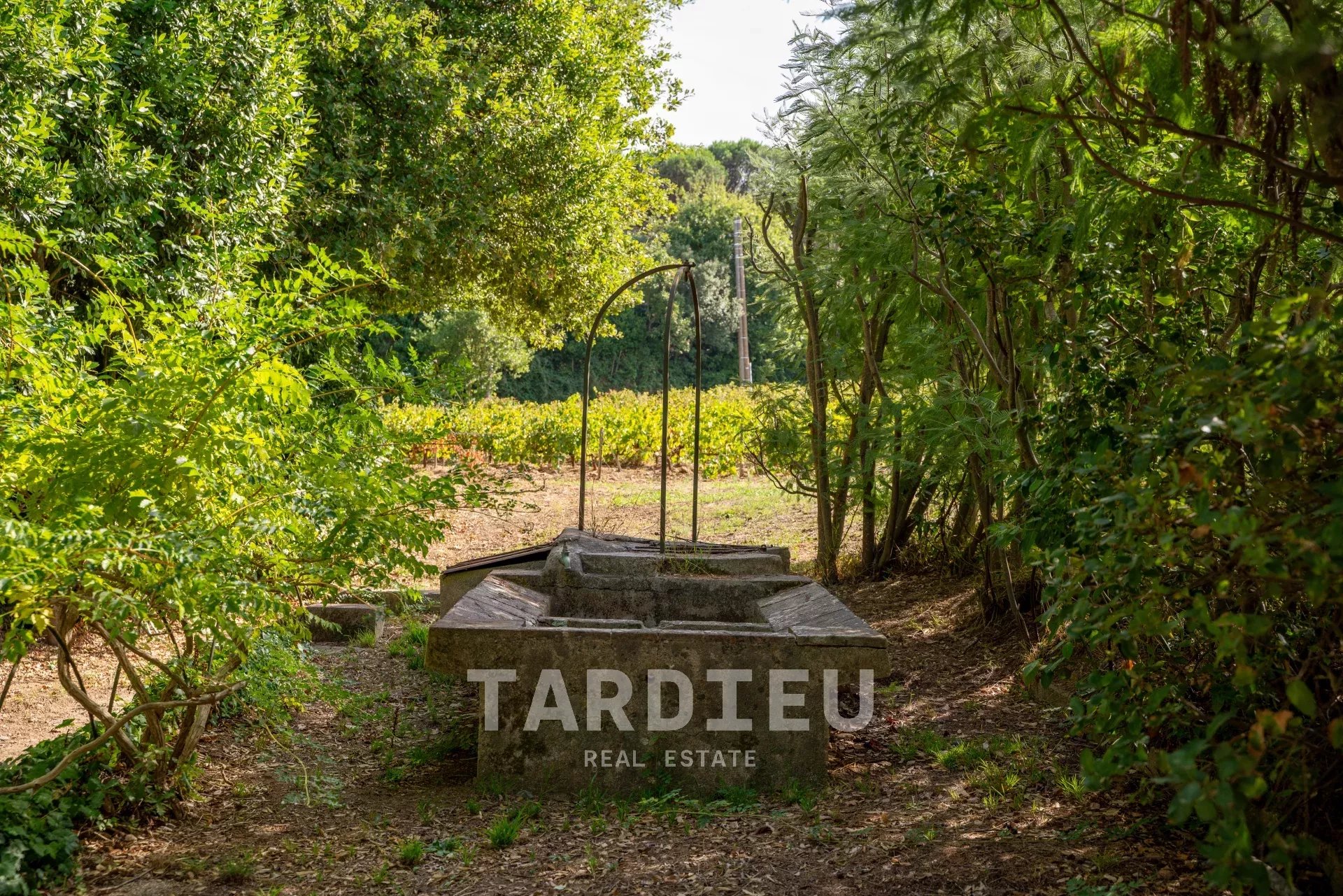 Saint-Tropez : Bâtisses de caractère au cœur