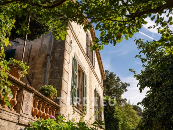 Saint-Tropez : Bâtisses de caractère au cœur