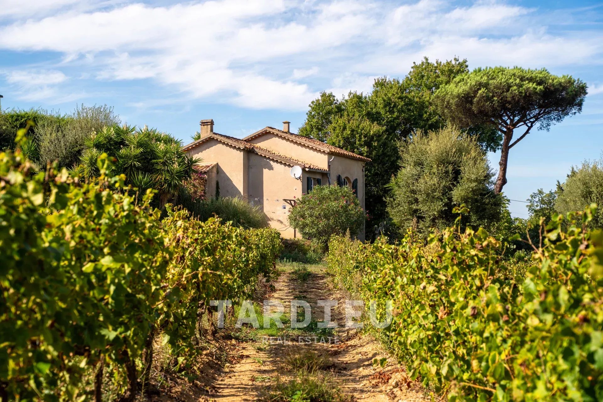 Saint-Tropez : Bâtisses de caractère au cœur