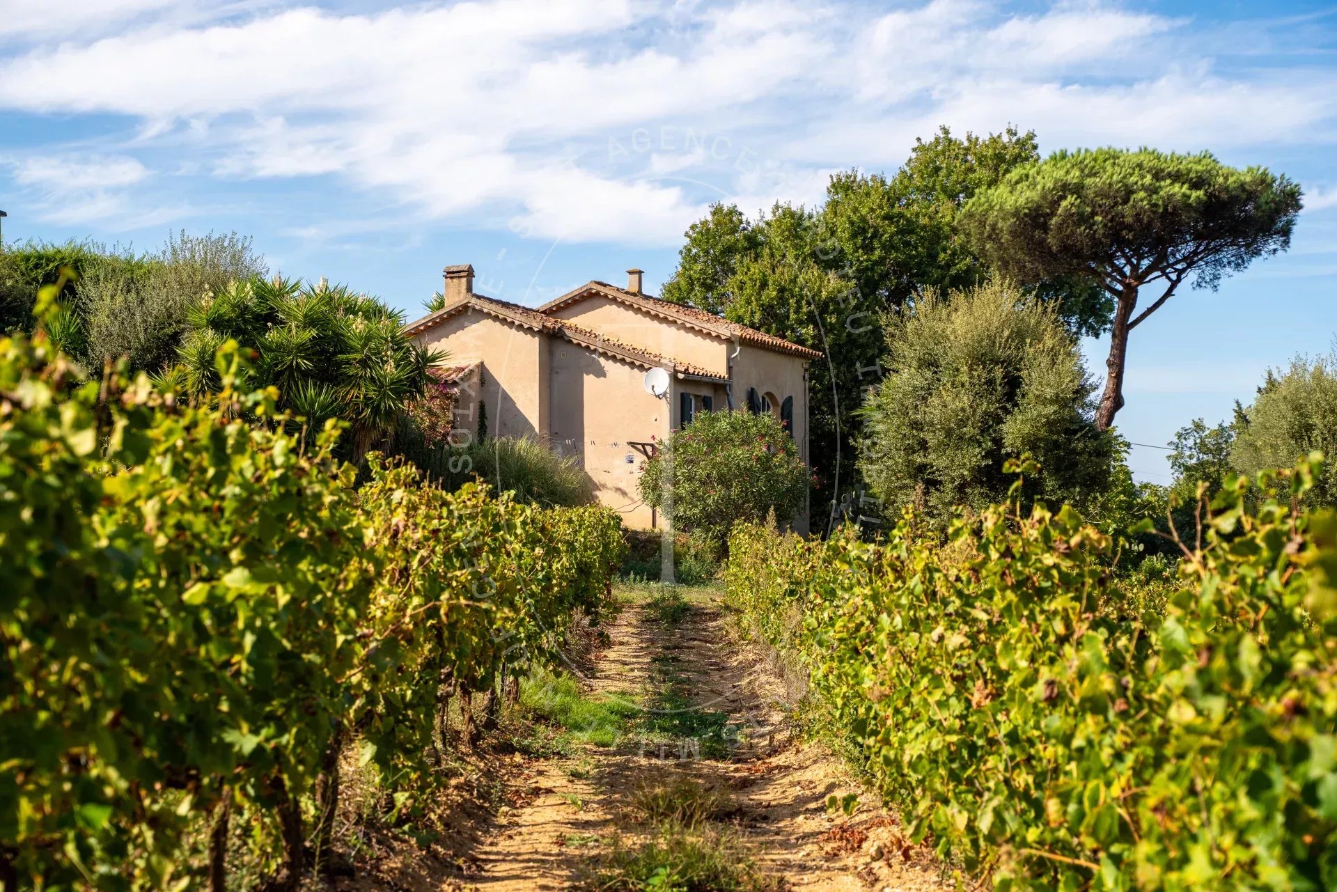 Saint-Tropez : Bâtisses de caractère au cœur