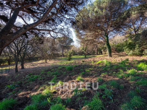 Terrain projet Villa neuve - Ramatuelle
