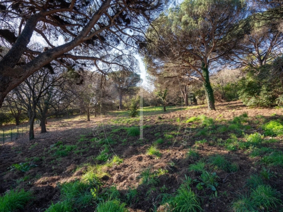 Terrain projet Villa neuve - Ramatuelle