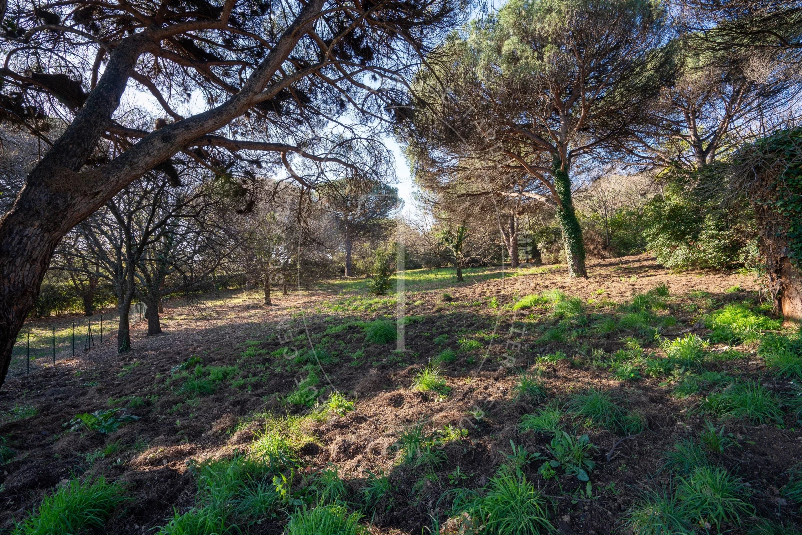 Terrain projet Villa neuve - Ramatuelle