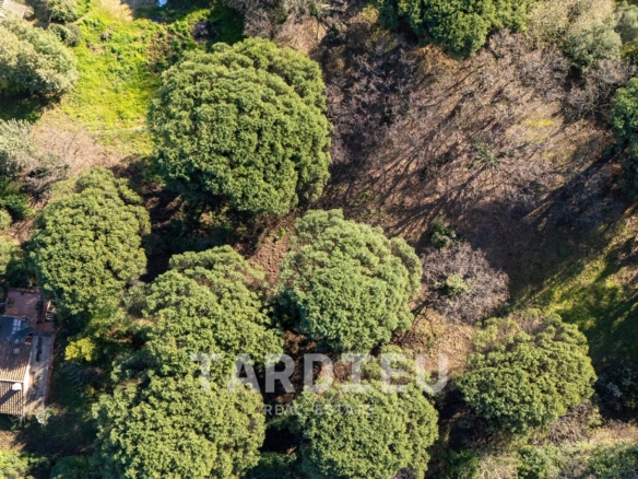 Terrain projet Villa neuve - Ramatuelle