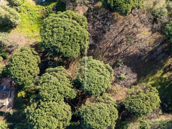 Terrain projet Villa neuve - Ramatuelle