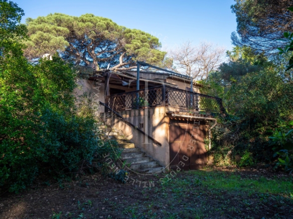 Terrain projet Villa neuve - Ramatuelle