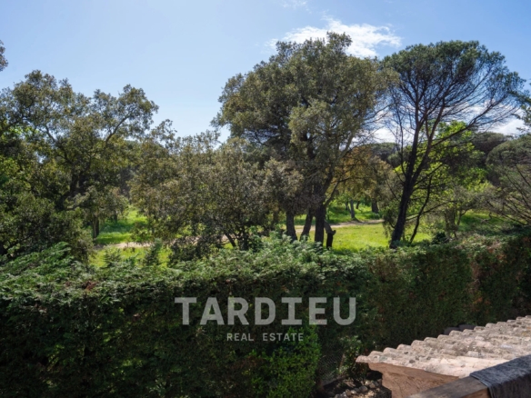 Maison avec piscine à Gassin